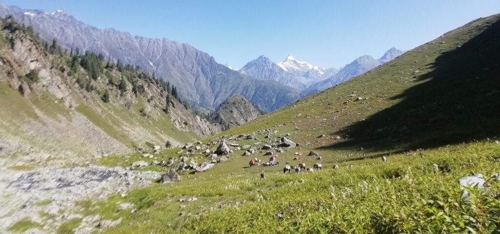 Bara Bhangal trek