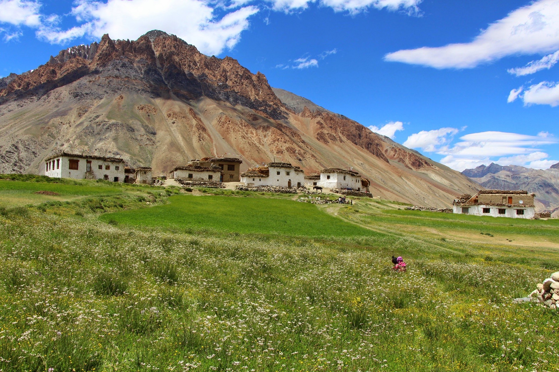 Manali Shinkun La Padum Zanskar Tour